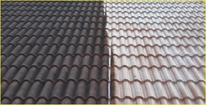 Brighton Roof Cleaning Example - Tiled Roof