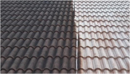 Brighton Roof Cleaning Example - Tiled Roof