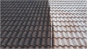 Hastings Roof Cleaning Example - Tiled Roof