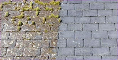 Example of Roof Moss Cleaning in Brighton