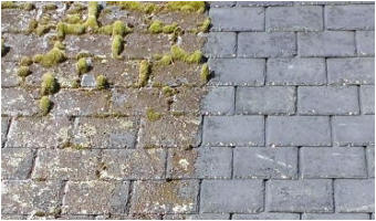 Example of Roof Moss Cleaning in Brighton