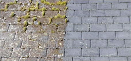 Example of Roof Moss Cleaning in Brighton