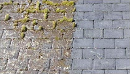 Example of Roof Moss Cleaning in Brighton