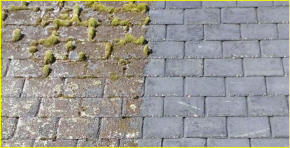 Example of Roof Moss Cleaning in Brighton