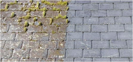 Example of Roof Moss Cleaning in Eastbourne