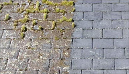 Example of Roof Moss Cleaning in Hastings