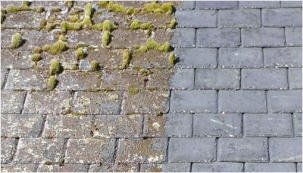 Example of Roof Moss Cleaning in Hastings