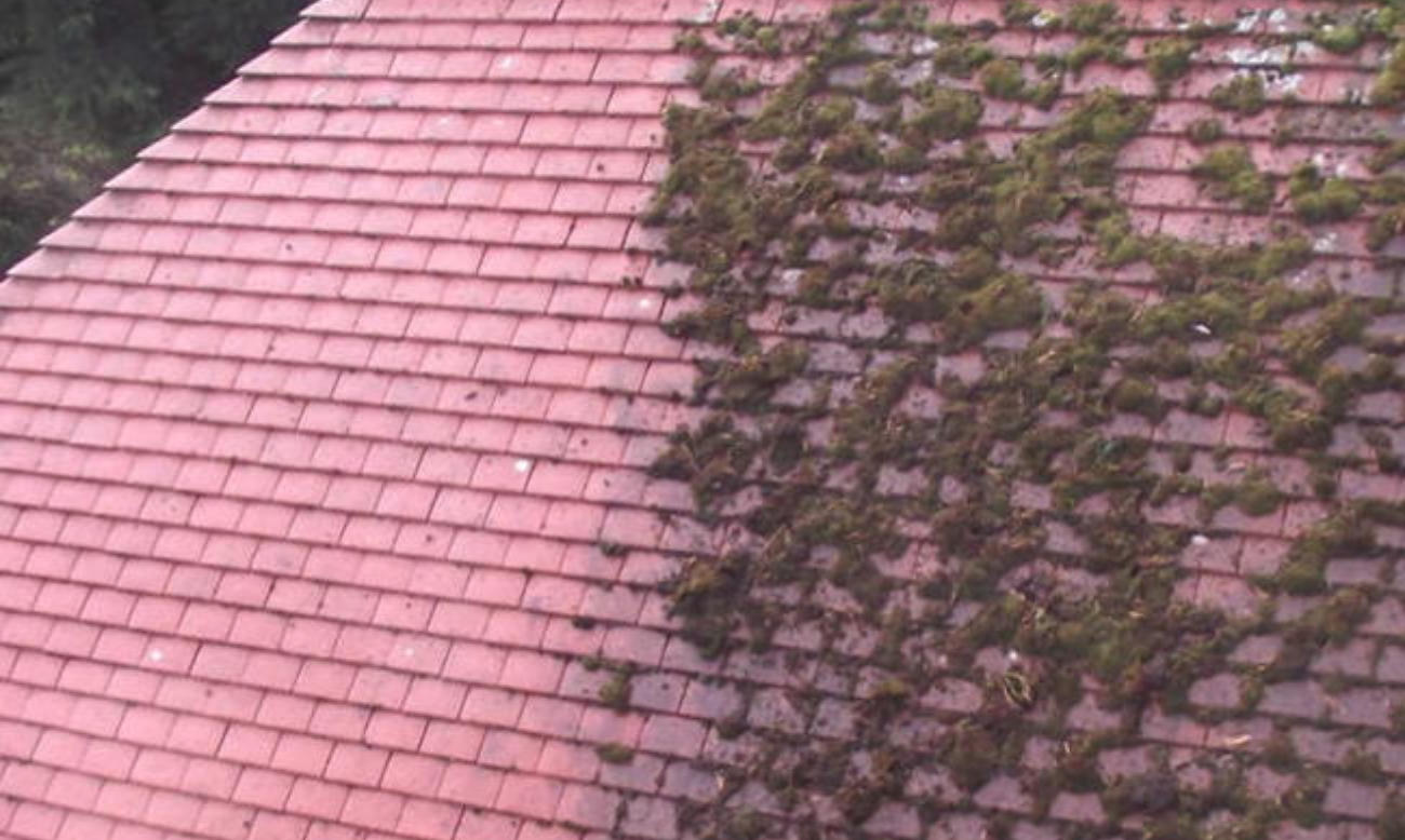 Partial Roof Moss Removal in Brighton