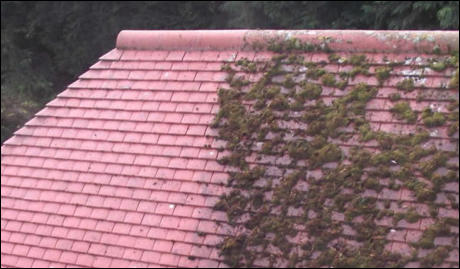 Partial Roof Moss Removal in Eastbourne